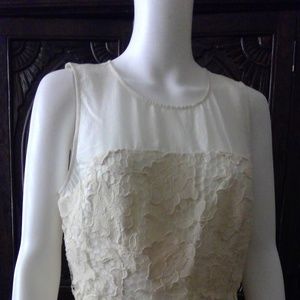 Stunning Anthropologie sleeveless lace tiered top